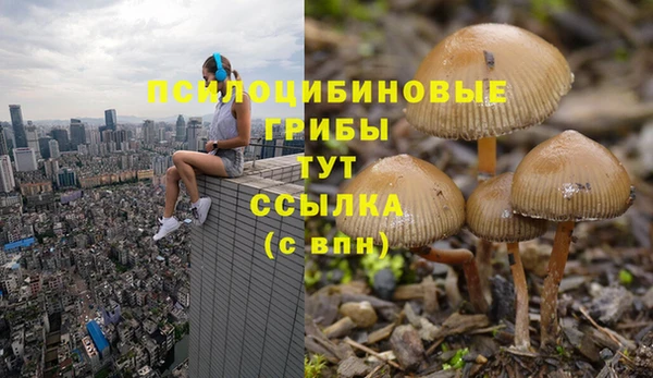 меф Алзамай