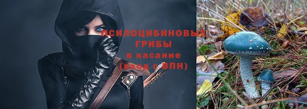 соль ск Армянск