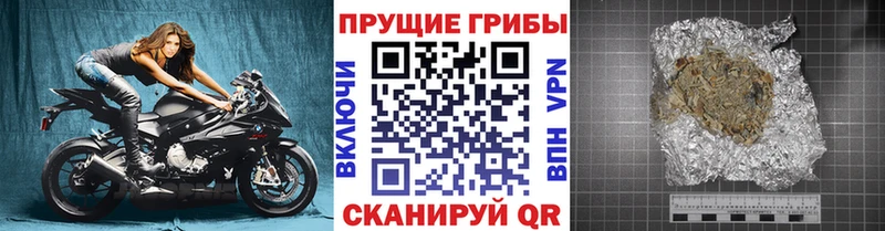 Псилоцибиновые грибы мицелий Аткарск